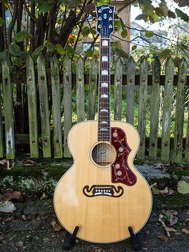 Steel String Acoustic Guitar